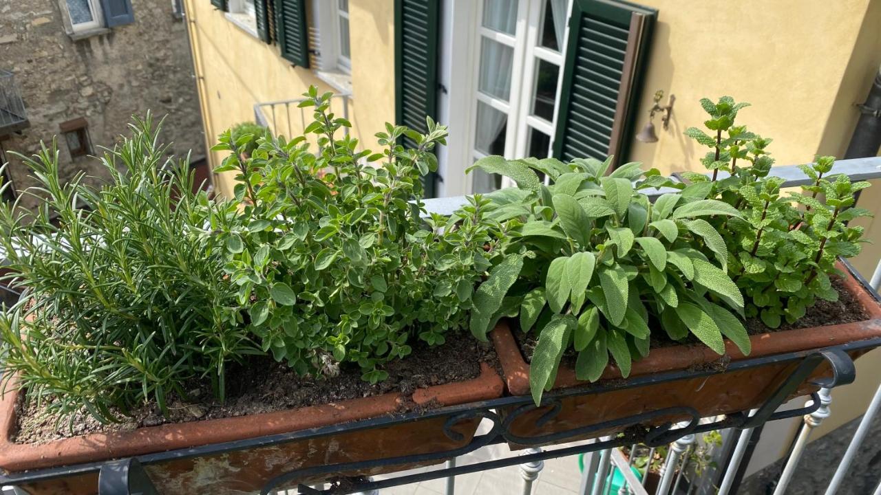 Il Mulino Di Hotel Villa Aurora Nesso Eksteriør bilde