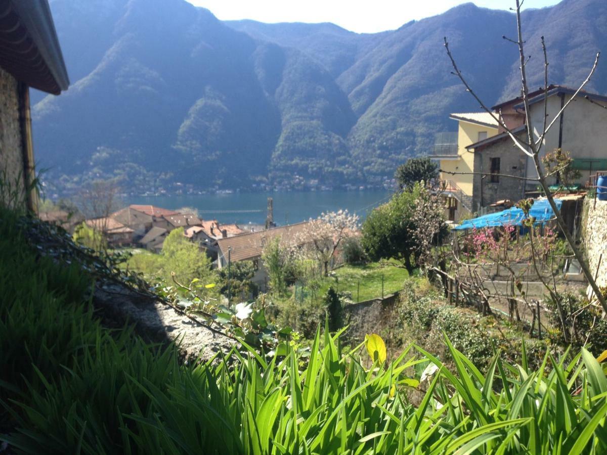 Il Mulino Di Hotel Villa Aurora Nesso Eksteriør bilde