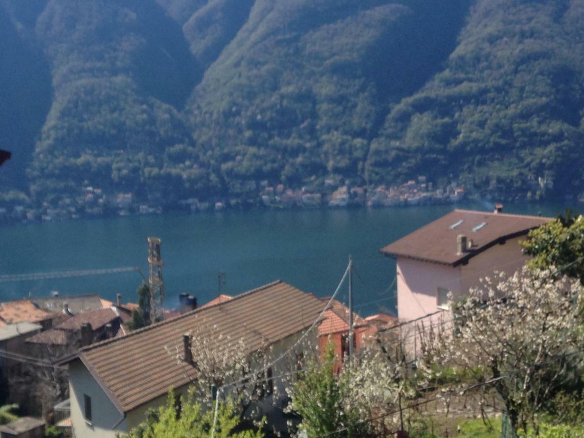 Il Mulino Di Hotel Villa Aurora Nesso Eksteriør bilde